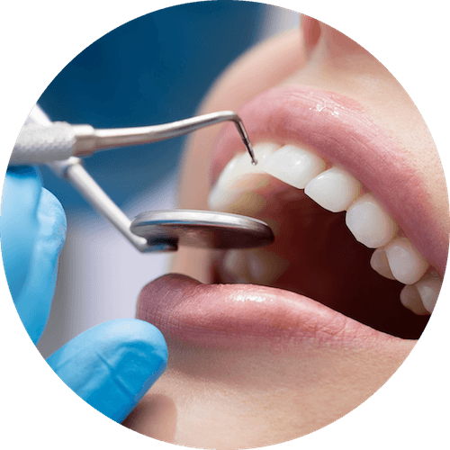 dentist https://tandartspraktijk-eldental.nl/wp-content/uploads/2026/09/dentist.png