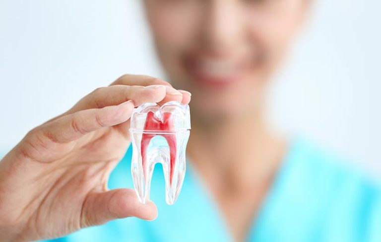 https://tandartspraktijk-eldental.nl/wp-content/uploads/2026/09/onsteam.jpg